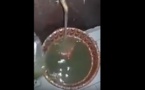 Une eau 'mystique' sort des robinets de Dakar