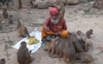 VIDEO - Un vieil homme hindi donne au monde une leçon d'humanité
