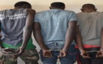 Tambacounda:  192 kg de chanvre indien saisis par la police