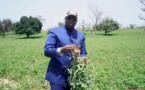 Les trois ans d’exécution du PSE à travers le pays donnent ça ! (Serigne Abo Niang)