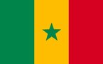 2STV, WALF FM et le Journal ‘’l ‘ Observateur ‘’ plébiscités par les sénégalais