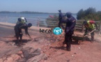 Ziguinchor : Images exclusives de l'attaque meurtrière du Pont de Niambalang