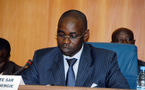 SENELEC : Chronologie d’un mensonge d’Etat Qui a peur de virer Samuel Sarr ?