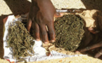 Trafic de drogue : Malick Ndiaye et Babacar Touré risquent 2 ans et 3 ans de prison ferme