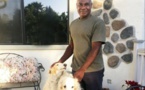 Etats-Unis: Il promène ses chiens, on l'arrête car il est Noir
