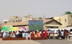 Sénégal- Pologne: le PUDC "gâte" les étudiants avec un écran géant
