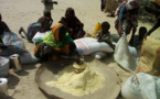 Matam – 750 000 personnes touchées par la crise alimentaire