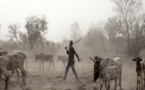 Un jeune éleveur peulh écope de 3 mois ferme : il avait asséné des coups de hache à son antagoniste
