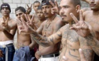 Hégémonie des cartels de drogue au Mexique : Quand l'overdose de la cocaïne dicte sa loi