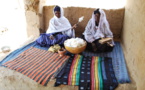 Au cœur du Sénégal, le Fouta - *L’Histoire Culturelle du Fuuta - Tooro*