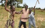 Pout : un jeune berger mortellement poignardé