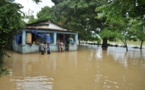 VIDEO - Inondations : Bignona sous les eaux, une vingtaine de familles sinistrées