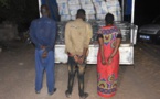 PHOTOS - Saisie record de 3 200 kg de chanvre indien par les gendarmes