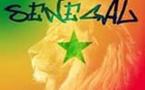 Cinquantenaire du Sénégal : Les 50 meilleurs sportifs fêtés