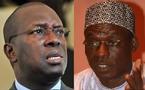 FARBA SENGHOR, COORDONNATEUR NATIONAL DU PDS « La nomination de Souleymane Ndéné au poste de directeur de campagne est une rumeur »