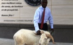 Le mouton de Tabaski de l’ambassadeur des USA à Dakar