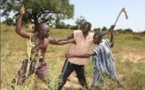 Vélingara Ferlo: un transhumant tué par balle à Bokki Ndar