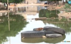Vidéo : Les Lougatois de Santhiaba Sud, irrités par les eaux stagnantes, refusent de parrainer les candidats