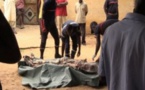 Drame à Kaffrine : Un garçon tué d’un coup de pilon