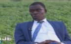 Dal Daje avec Farba Senghor sur la Rdv