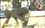 Lutte : Yawou dial Bat commissaire