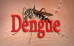 Dengue à Fatick : un 9é cas chez une dame de 55 ans  