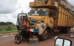 Petit-Mbao : 1 tonne de chanvre indien saisie dans un camion en provenance du Mali