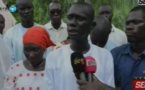 Kounguel: "Le réseau des enseignants républicains expriment leur mécontentement", Cheikh Ndam Ndiaye