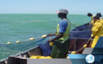 Pêche- Préservation de la ressource: Le Directeur des Pêches maritimes détaille les nouvelles mesures