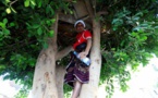 Dans la capitale yéménite, un sans-abri vit dans un arbre