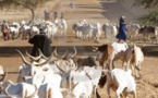 Drame: Un berger abattu à Goudomp