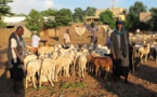 Mali: des civils peuls tués à Ouenkoro, dans le centre du pays