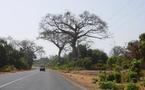 Conflit entre chauffeurs sénégalais et gambiens :Le Premier ministre s'investit pour un solution heureuse
