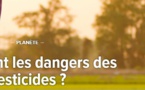 Science et environnement : Quels sont les dangers des pesticides ?