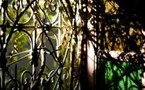 Le jardin des délices de DSK à Marrakech
