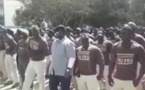 "Les Marrons du Feu":  Sont-ils les gros bras annoncés par Mame Mbaye Niang ?