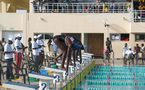 Afrique/natation : Les nageurs sénégalais dominent les championnats de la Zone 2