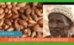 VIDEO - 10 incroyables vertus du Petit Cola, Bitter Kola, Mbitakola ou Garcinia Cola | Nature Sante