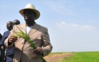 Macky Sall: « Le département de Bounkiling sera bientôt autosuffisant en riz et pourra même vendre aux autres départements