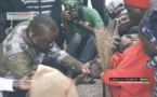 Photos : Le Roi d'Elinkine a reçu Ousmane Sonko 