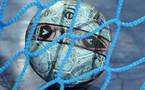Les Lionnes gagnent le tournoi de Guadeloupe