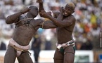 Malick Niang Met Adama Diouf K.O En 5 Secondes. Une Droite Terrible ! (Vidéo)