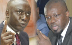 Chef de l’opposition : « Une loi doit intervenir pour le désigner », selon Aïssata Tall Sall