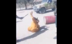 VIDEO - Arrêt sur image - Ça se passe un jour après le 08 mars !
