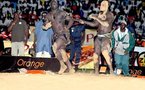 Balla Gaye 2 : « J’ai eu un petit pincement au cœur, en voyant le visage de Tyson plein de sable »