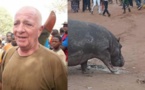 Hippopotame tué à Kédougou : la polémique enfle