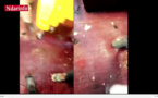 VIDEO - Regardez comment les étudiants de l'Ugb ont vandalisé le bureau du Recteur, en y versant de...