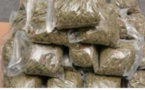 Saisine de drogue à Foundiougne: La valeur s’estime à 13 740 000 F Cfa