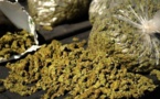 Kaolack - Trafic de drogue : Lamine Sané écope de 10 ans de prison