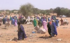 Linguère:  7 personnes dont un chef de village arrêtées après une bagarre au coupe-coupe